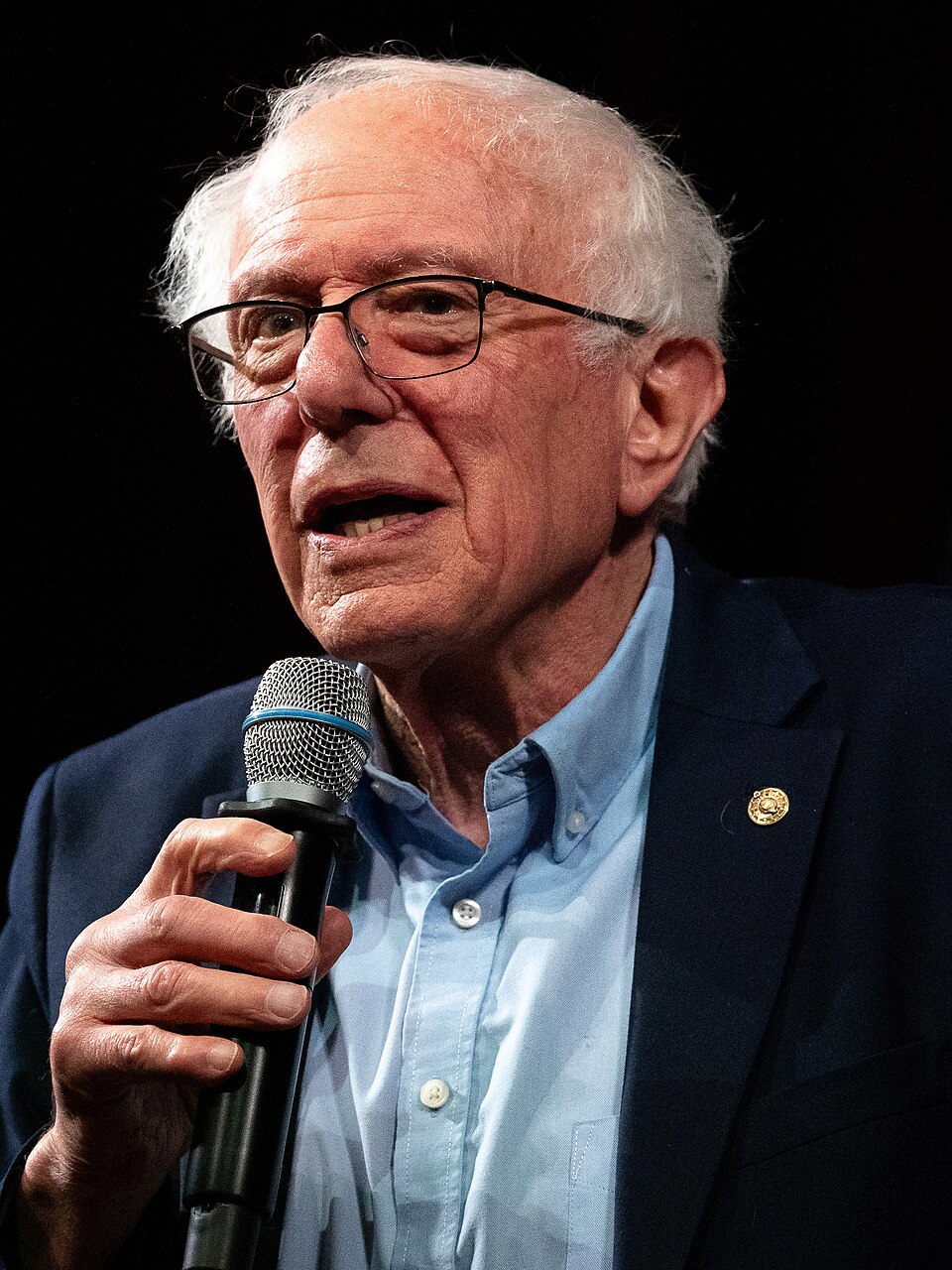 Portrait of Bernie Sanders